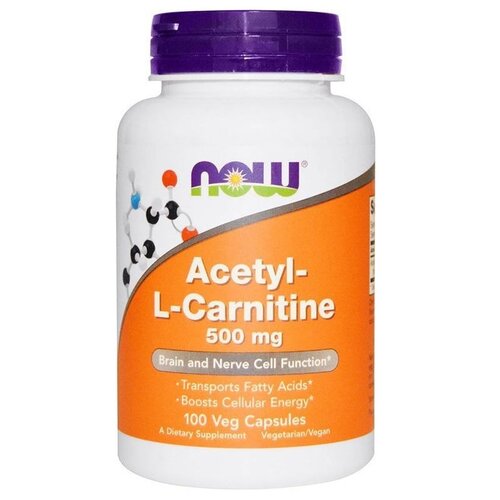   Acetyl-L Carnitine ., 500 , 200 , 100 , 100 .   -     -,    