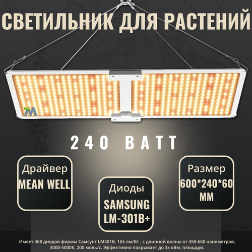      SL 2000 quantum board, 468  Samsung LM-301B   -     -,    