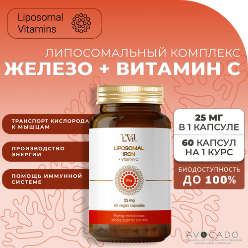   Liposomal Vitamins    +  C, 60    -     -,    