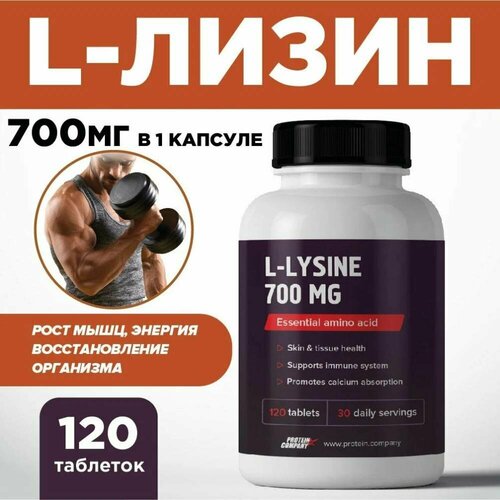    700 .    .    , ,  .  . l-lysine, 120 ,     -     -,    