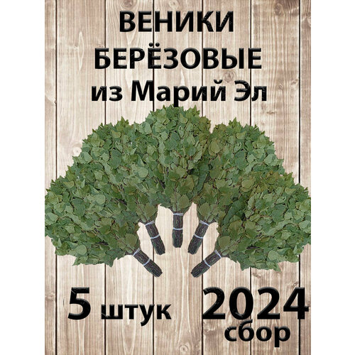       5   ,  2024    -     -,    