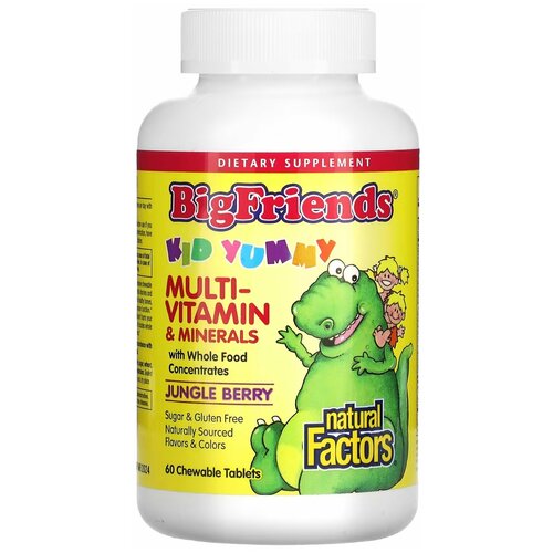   Natural Factors, Big Friends, Chewable Multi-Vitamin ans Minerals,    ,   , 60     -     -,    