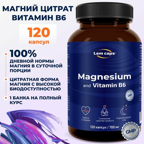       B6 ( 6),     , Magnesium Citrate 400  Lemcaps, 120    -     -,    