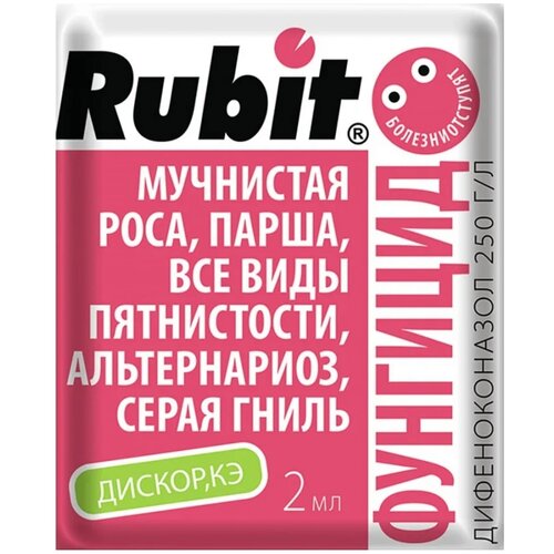   Rubit     , 2 , 2    -     -,    