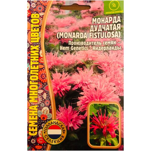      (Monarda fistulosa) (0,1 )   -     -,    