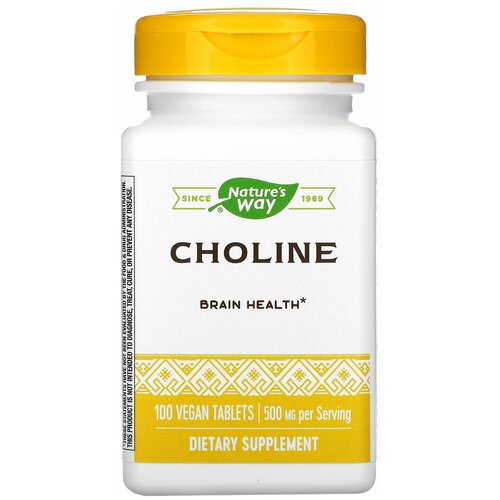   CHOLINE 500mg 100 tabs NW   -     -,    