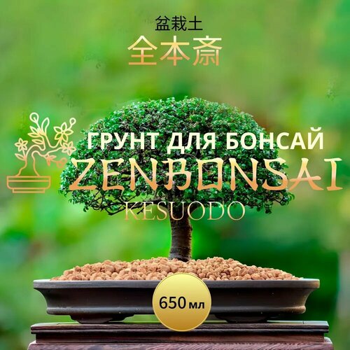    ZENBONSAI 