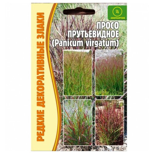      (Panicum virgatum) (0,1 )   -     -,    