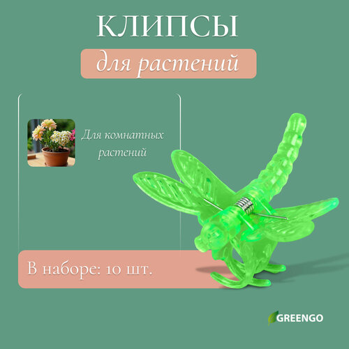      ,  10 , , Greengo   -     -,    