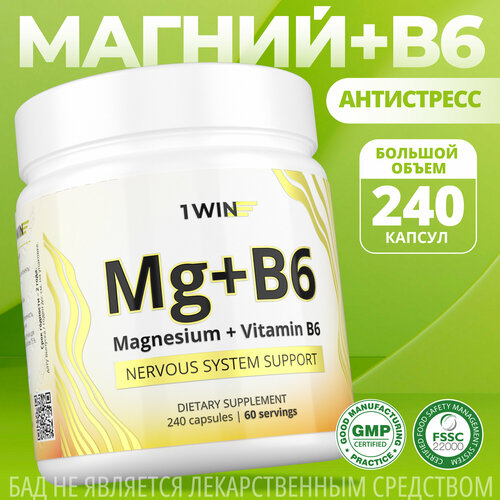   1WIN     6 ( 6),       , Magnesium Citrate, 240    -     -,    