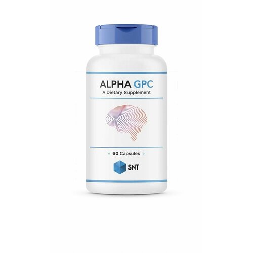       SNT Alpha GPC Cognitive Support 300 mg 60    -     -,    